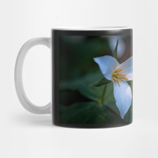 Trillium flower in a dark forest Mug